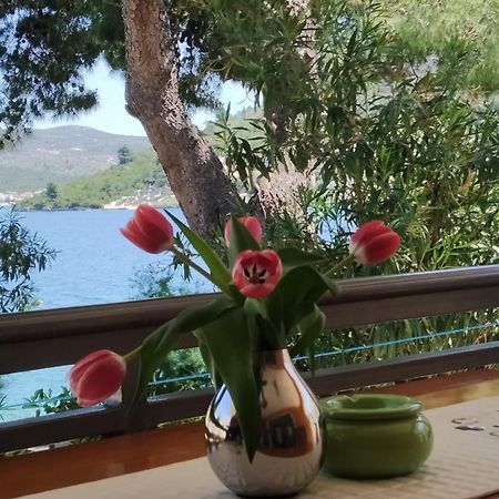 Holiday Home Milenka Rogoznica  Esterno foto